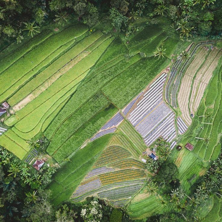 Family terraces and cafГ©s for calm evenings in Amsterdam